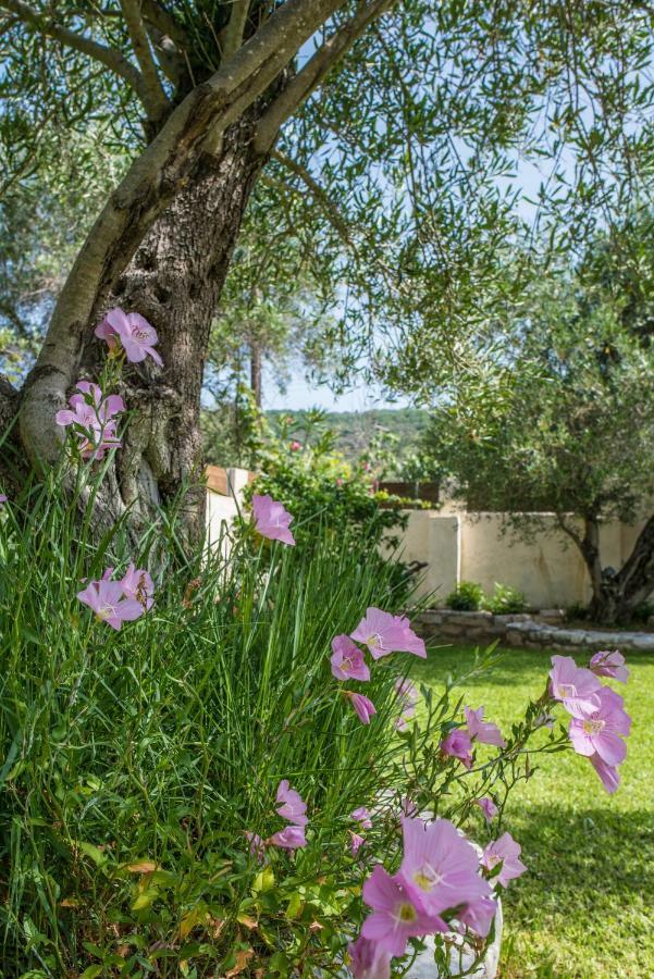 Corfu Villa Linea Línia Extérieur photo