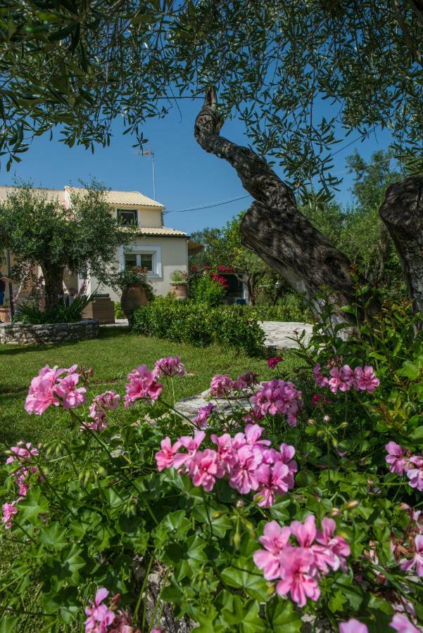 Corfu Villa Linea Línia Extérieur photo