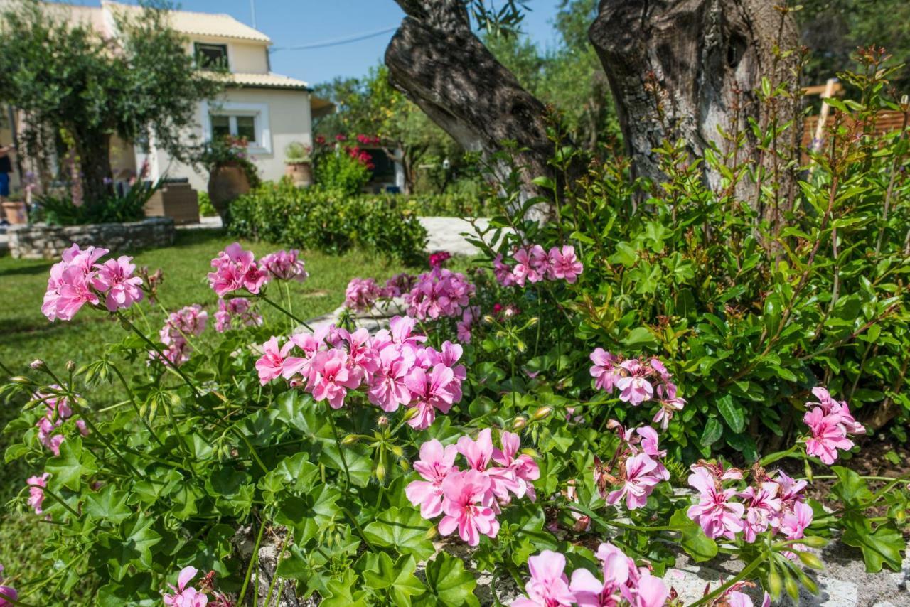 Corfu Villa Linea Línia Extérieur photo