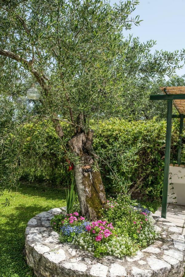 Corfu Villa Linea Línia Extérieur photo